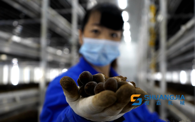 1648602030245626.png 11-19-45-85-283825.png