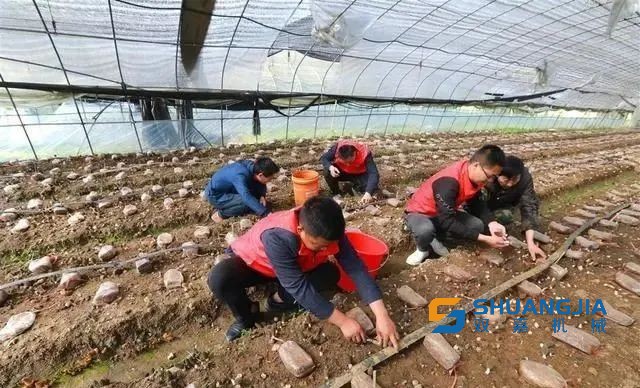 1649145961571664.jpg 10-54-09-20-283825.jpg