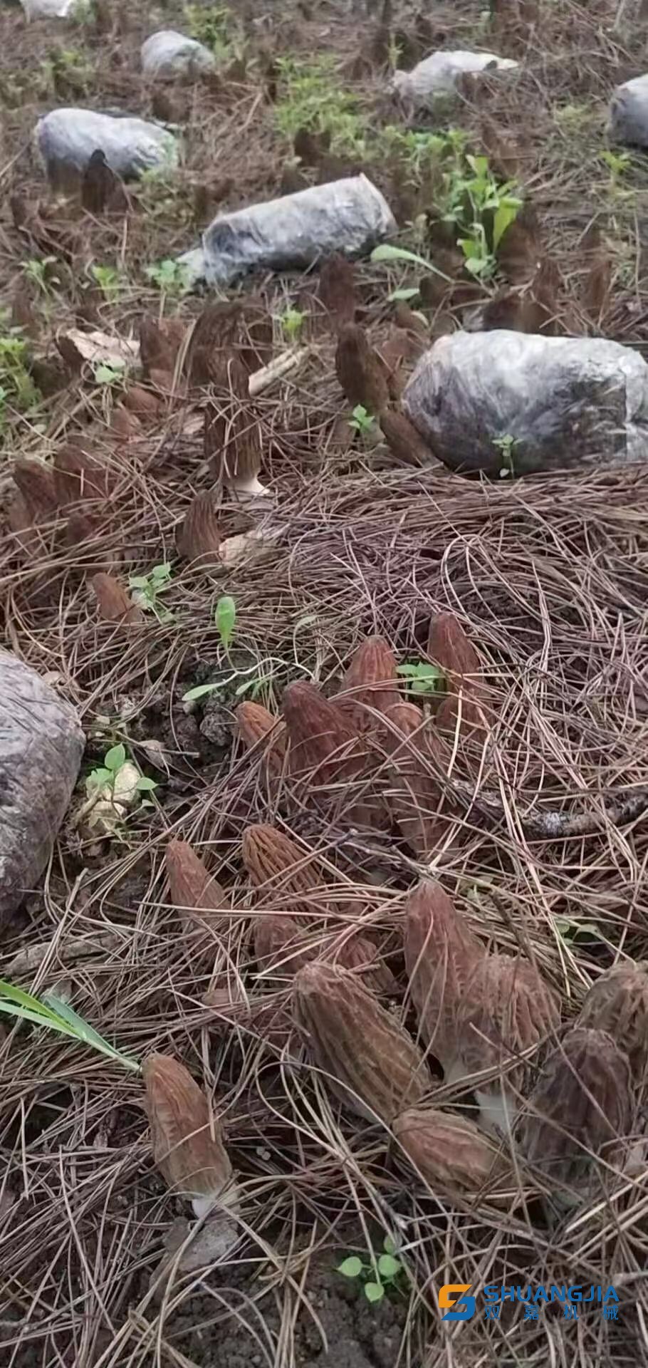 1649578241148942.jpg QQ图片20220410161021.jpg