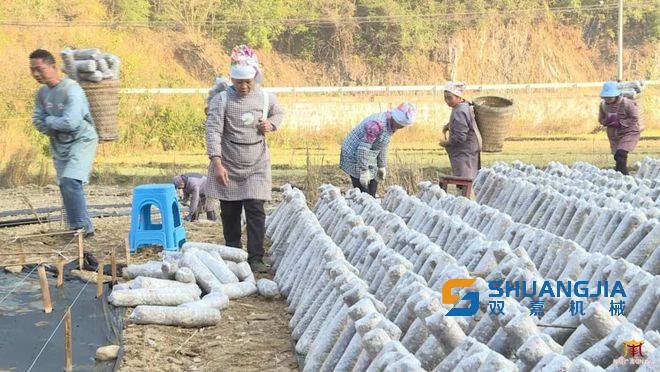 1649815462159695.jpg 11-10-40-11-283825.jpg