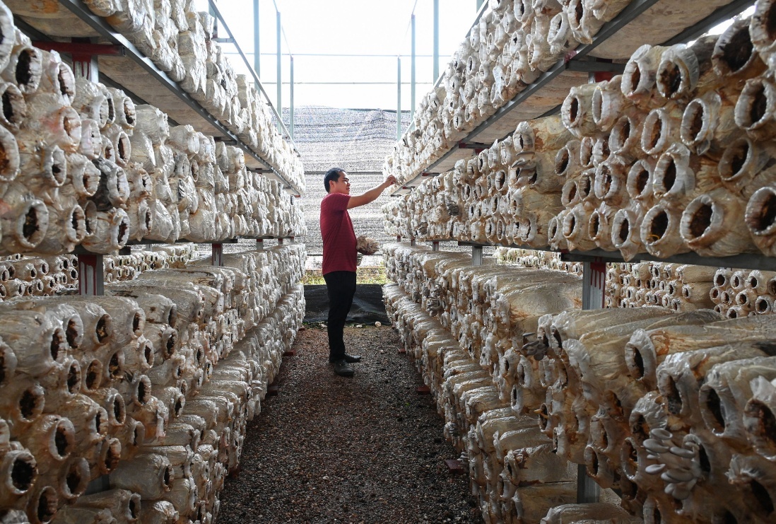 1649922064992404.jpeg 11-03-59-84-283825.jpeg