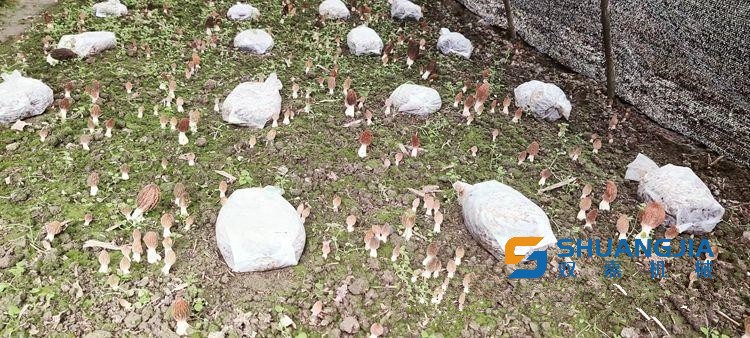 1649988378179914.jpg 11-35-07-33-283825.jpg