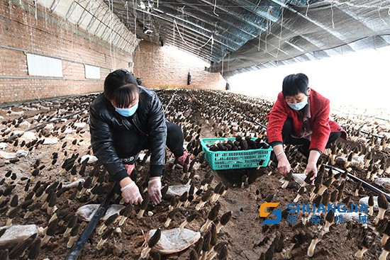 1650766236179926.jpg 17-01-10-54-283825.jpg