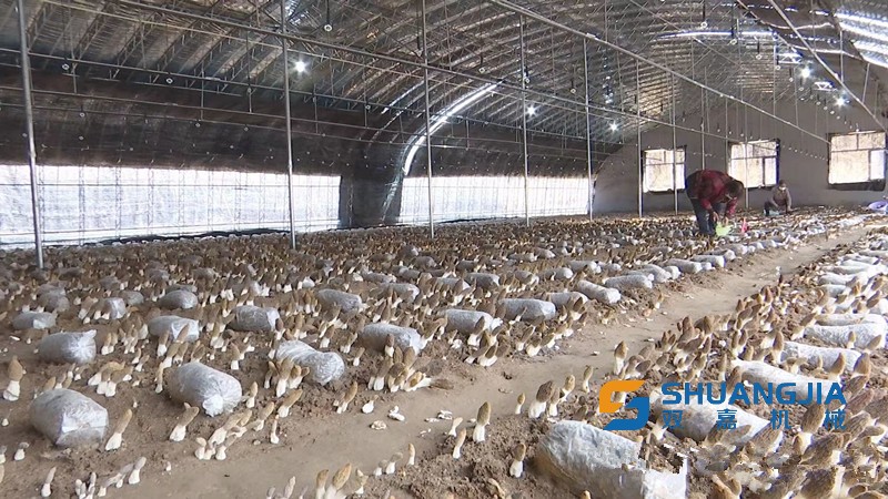 1650852655923238.jpg 15-27-33-65-283825.jpg