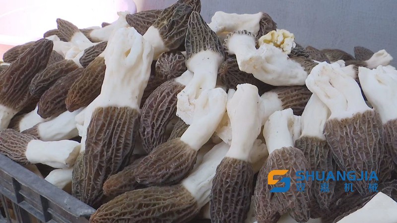 1650852674101778.jpg 15-27-56-40-283825.jpg