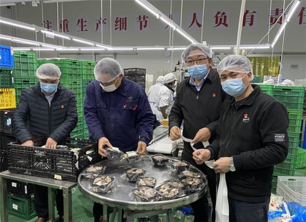 1651541190999172.jpeg 59e8017cd50246b0af80ccfc0f3ee11a.jpeg