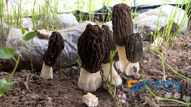 1651802301149816.jpg 12-02-45-12-283825.jpg