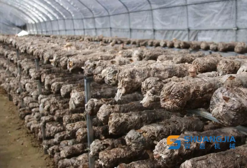 1652147481723851.jpg 9defe71bc59f4ba8a16e9828c2bed041.jpg