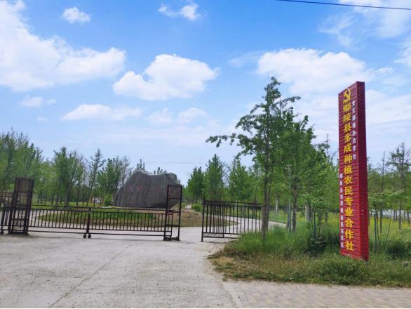 1652406564387422.jpeg 15-51-05-66-283825.jpeg