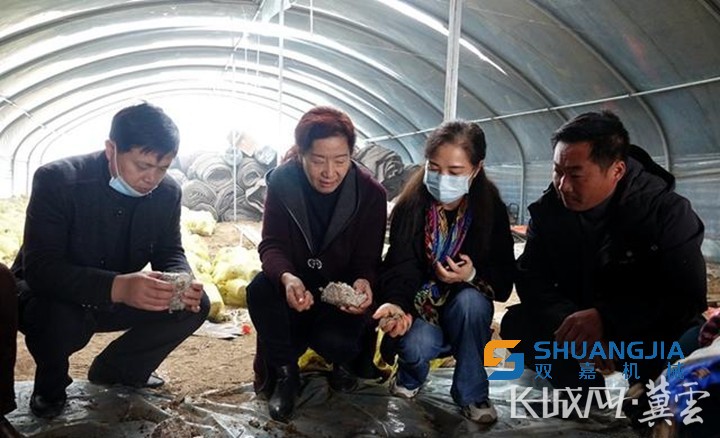 1653266505747959.jpg 1000 (1).jpg