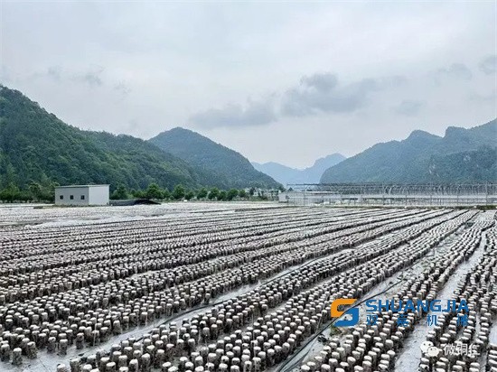 1653293006156996.jpg 14-18-03-20-283825.jpg