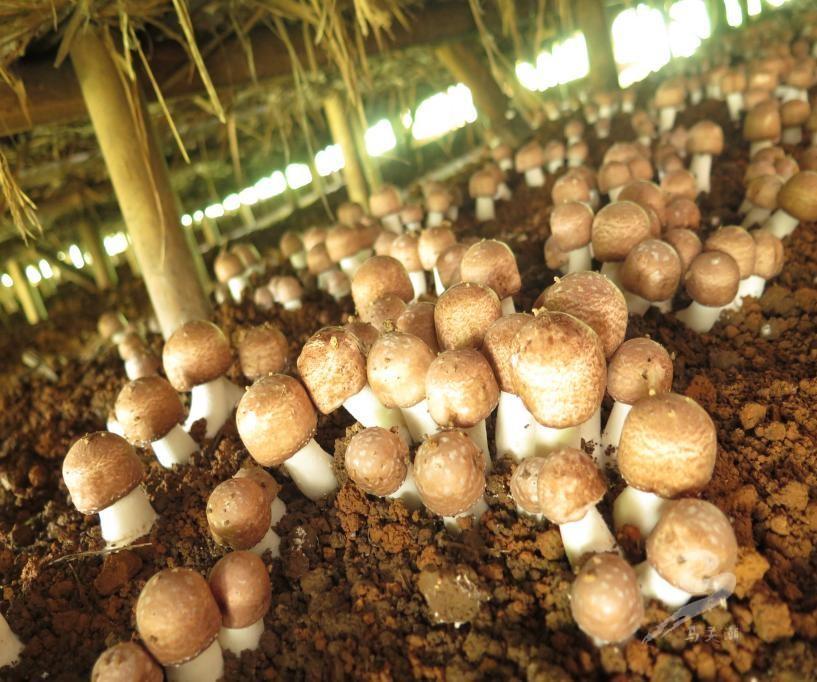 1653540329544525.jpeg 11-08-51-36-283825.jpeg