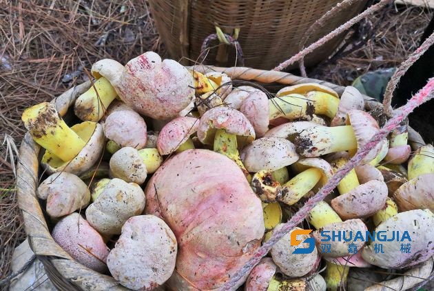 1654220551113196.jpg 15-37-10-13-283825.jpg