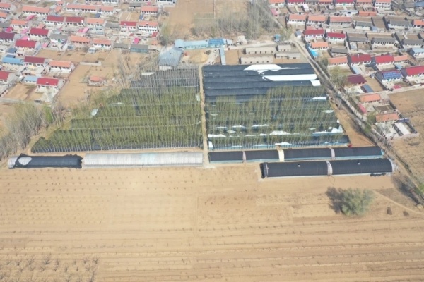 1655007709196853.jpeg 14-29-29-54-283825.jpeg