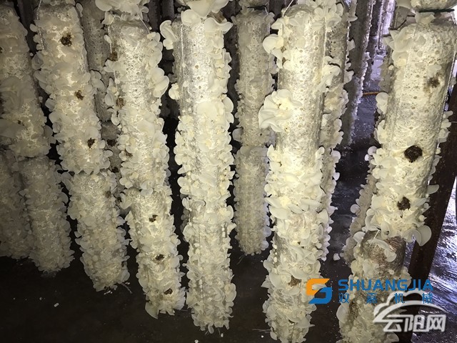 1655605240422276.jpg 17-47-22-59-283825.jpg