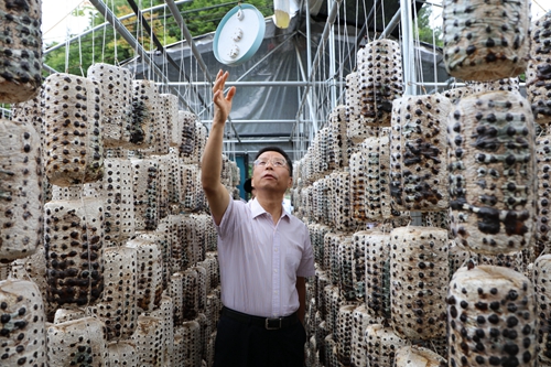 1656036226209703.jpeg 17-00-01-53-283825.jpeg