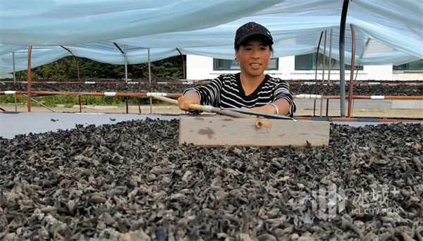 1656292288171101.jpeg 20-58-26-74-283825.jpeg