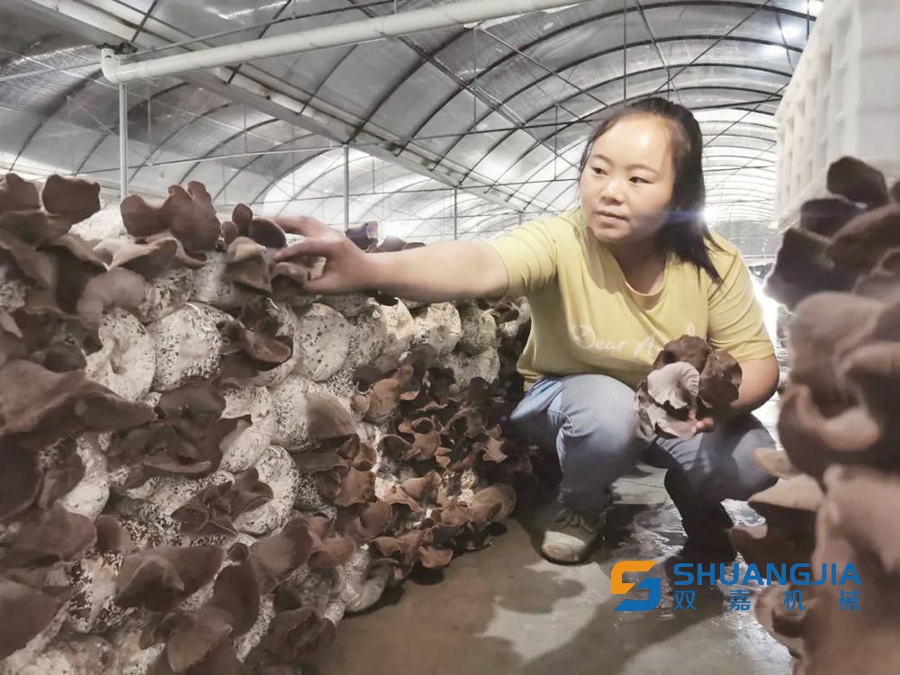 1656466509692295.jpg 14-42-35-19-283825 (1).jpg