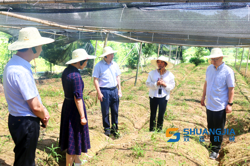 1657081045138541.png 14-35-44-79-283825.png