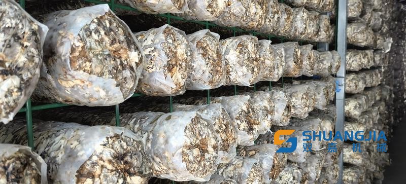 1657081128140936.jpg 22-33-01-33-283825.jpg