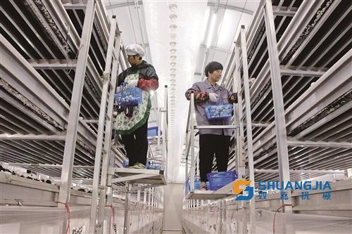 1659067949986243.jpg 09-24-23-33-283825.jpg