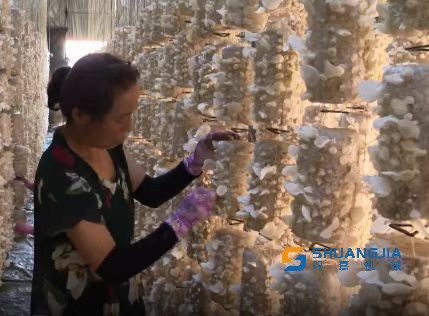 1659068187785545.jpg 11-34-09-67-283825.jpg